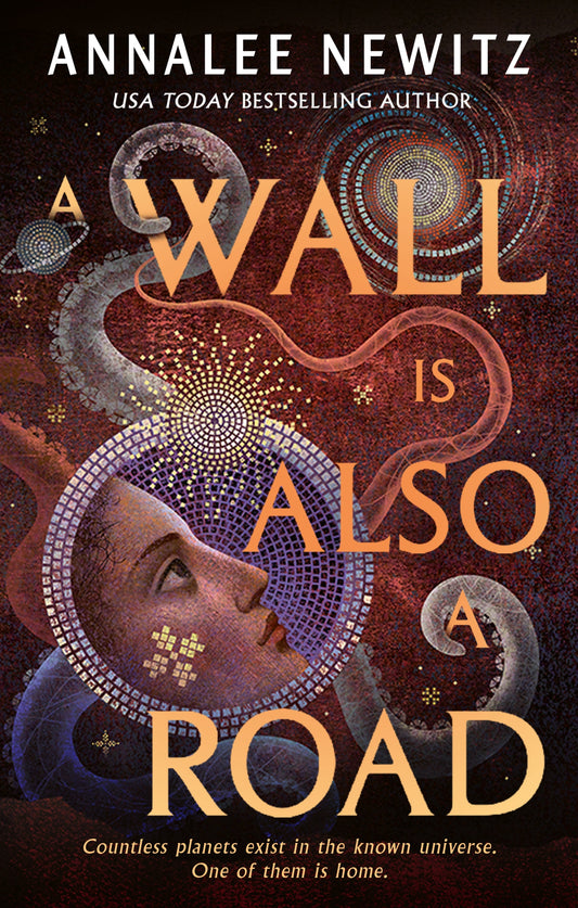 A Wall Is Also A Road by Annalee Newitz