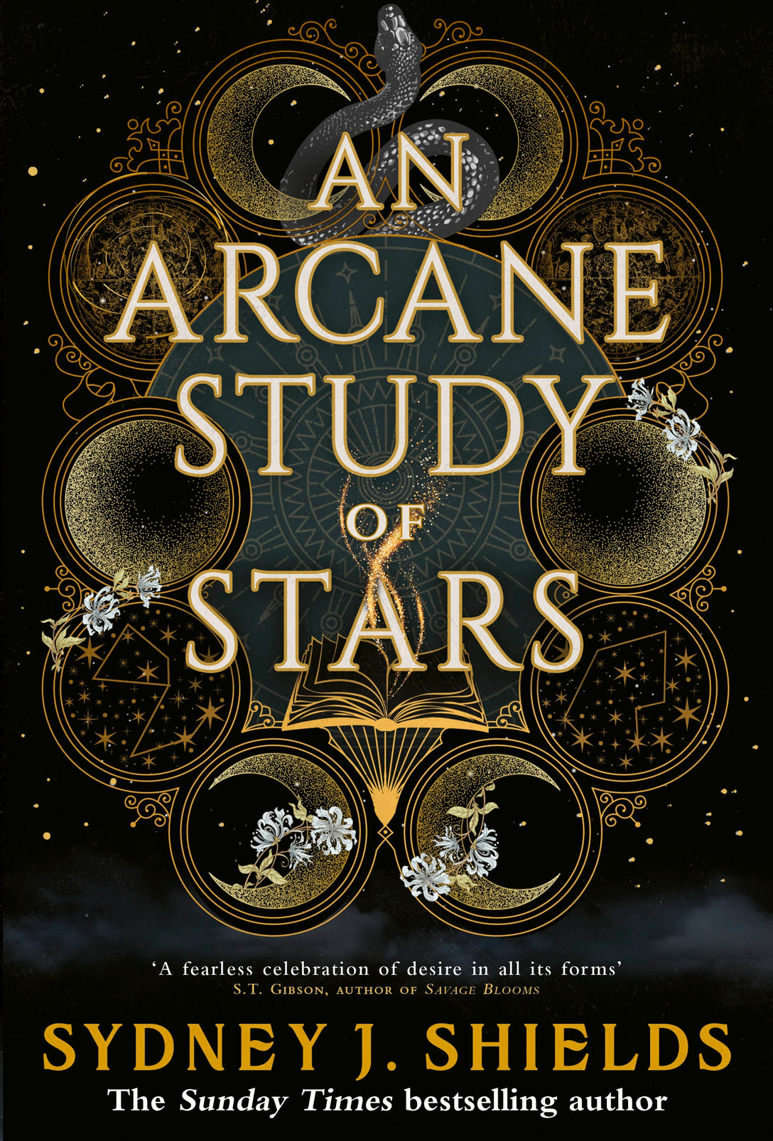 An Arcane Study of Stars by Sydney J. Shields
