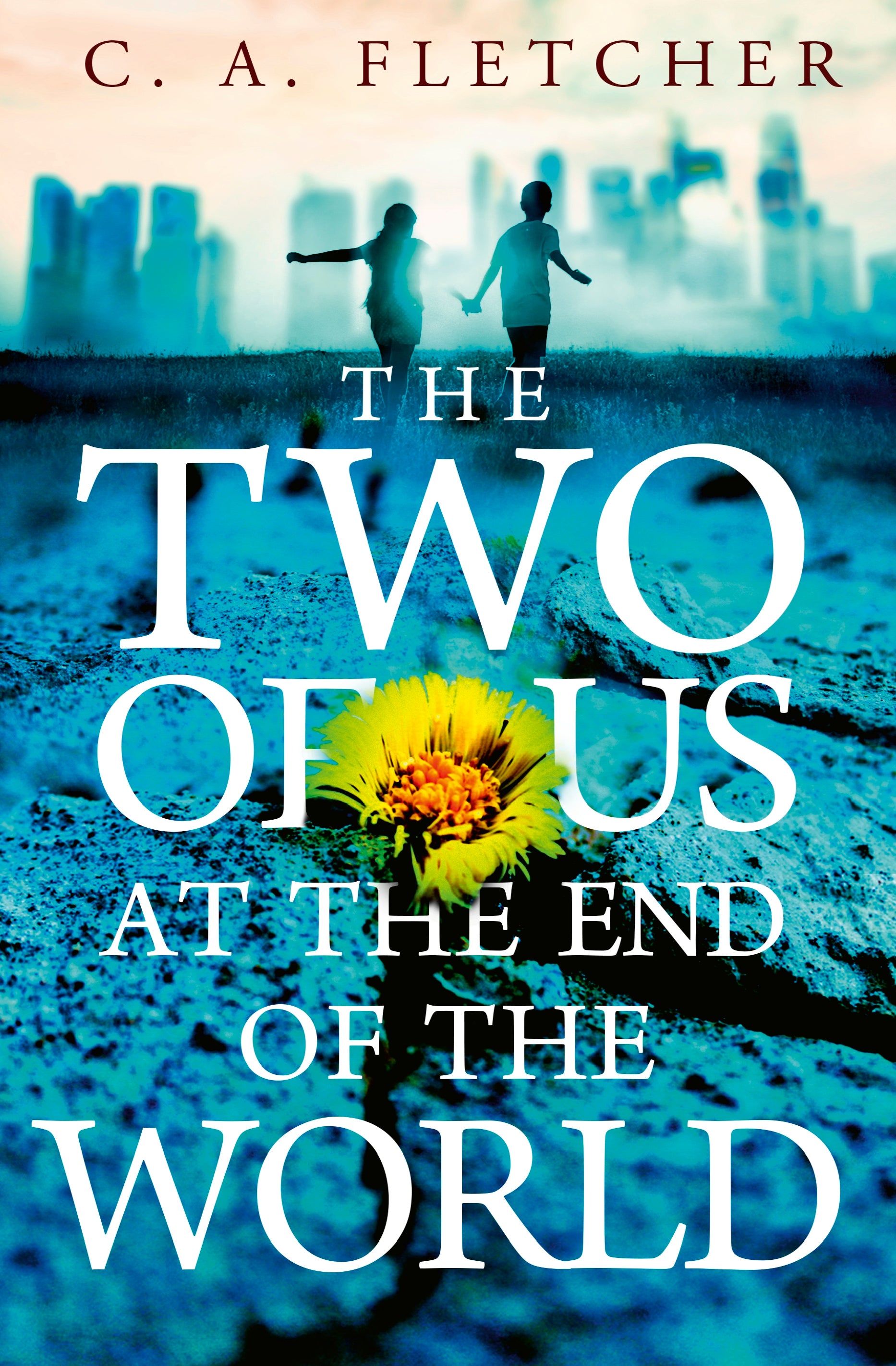 The Two of Us at the End of the World by C. A. Fletcher