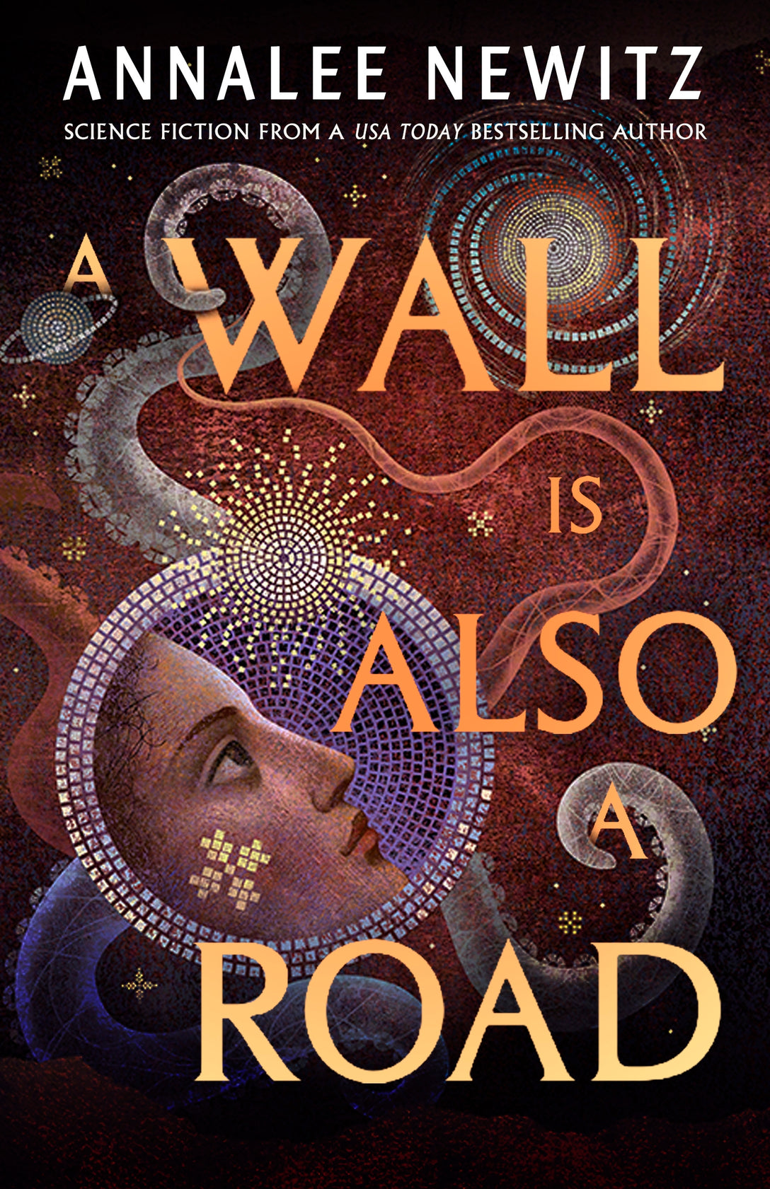 A Wall Is Also A Road by Annalee Newitz