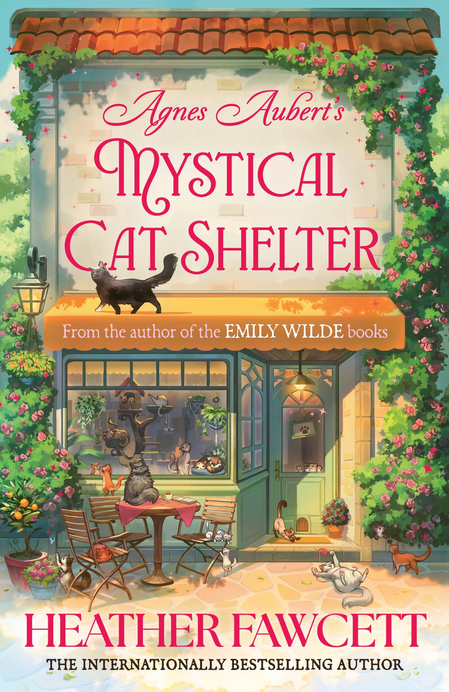 Agnes Aubert's Mystical Cat Shelter by Heather Fawcett