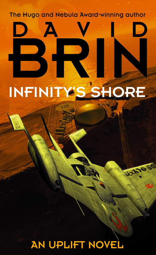 Infinity's Shore by David Brin
